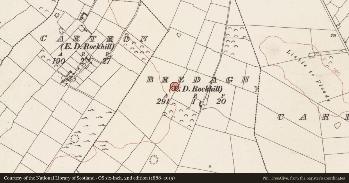 Ordnance Survey six-inch map, 2nd edition (1888–1915) covering the location of Ringfort - rath, Bredagh, County Roscommon, with a pin at the register's coordinates