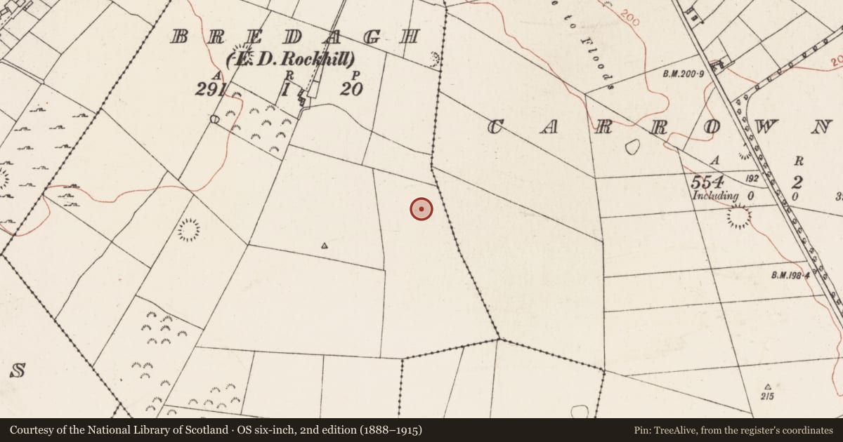 Ordnance Survey six-inch map, 2nd edition (1888–1915) covering the location of Ringfort - rath, Bredagh, County Roscommon, with a pin at the register's coordinates