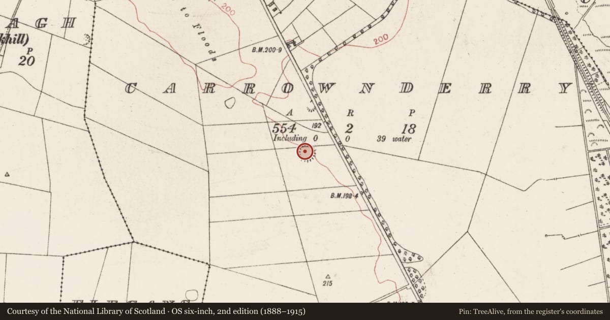 Ordnance Survey six-inch map, 2nd edition (1888–1915) covering the location of Ringfort - rath, Carrownderry, County Roscommon, with a pin at the register's coordinates