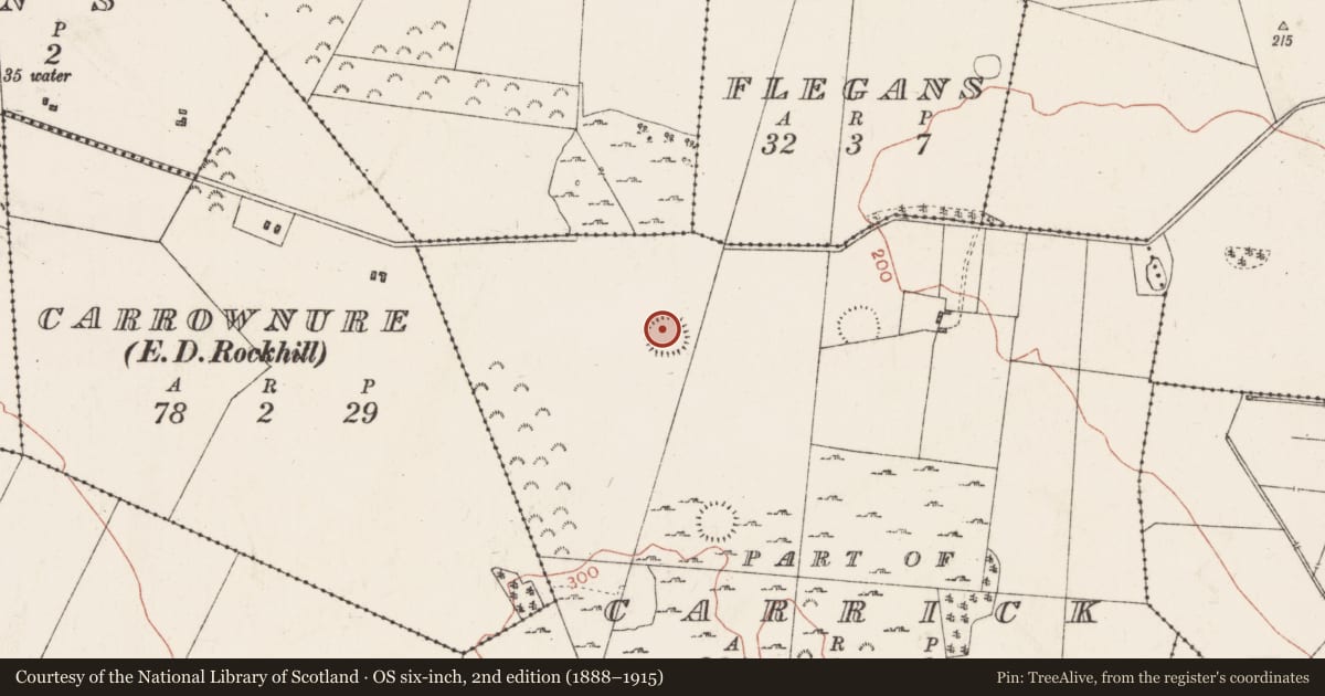 Ordnance Survey six-inch map, 2nd edition (1888–1915) covering the location of Ringfort - rath, Carrick (Detached portion), County Roscommon, with a pin at the register's coordinates