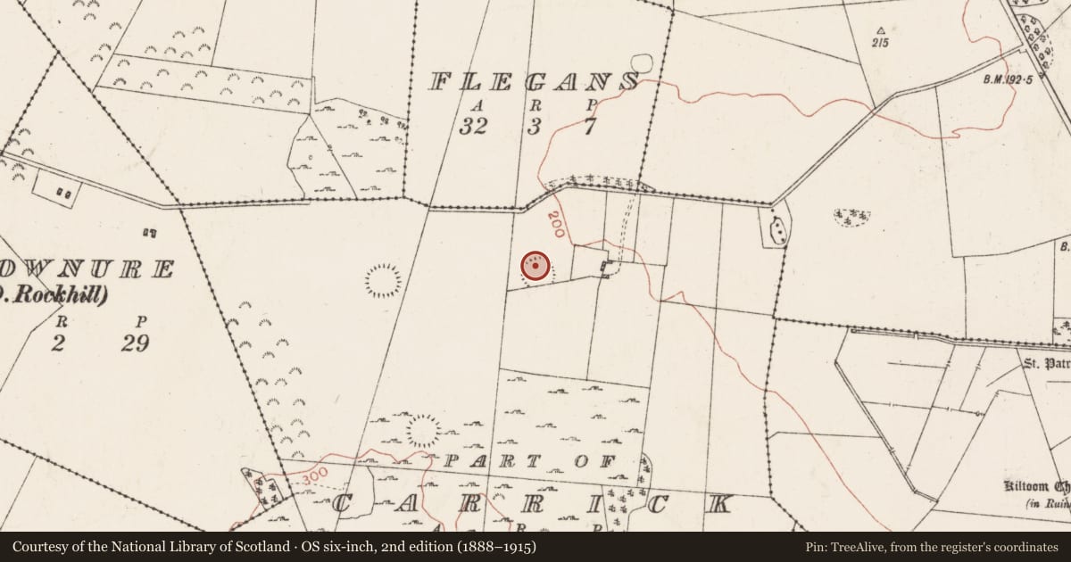 Ordnance Survey six-inch map, 2nd edition (1888–1915) covering the location of Ringfort - rath, Carrick (Detached portion), County Roscommon, with a pin at the register's coordinates