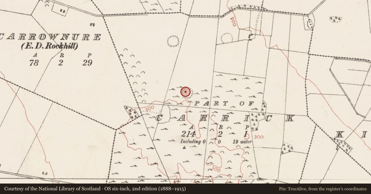 Ordnance Survey six-inch map, 2nd edition (1888–1915) covering the location of Ringfort - rath, Carrick (Detached portion), County Roscommon, with a pin at the register's coordinates