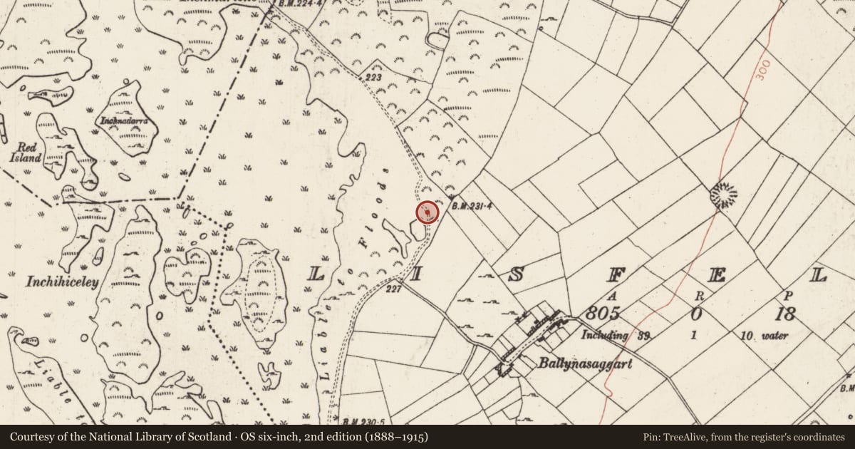 Ordnance Survey six-inch map, 2nd edition (1888–1915) covering the location of Mass-rock, Lisfelim, County Roscommon, with a pin at the register's coordinates