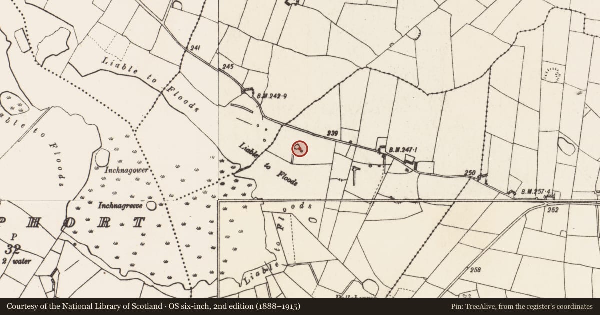 Ordnance Survey six-inch map, 2nd edition (1888–1915) covering the location of Ritual site - holy well, Cornalee, County Roscommon, with a pin at the register's coordinates