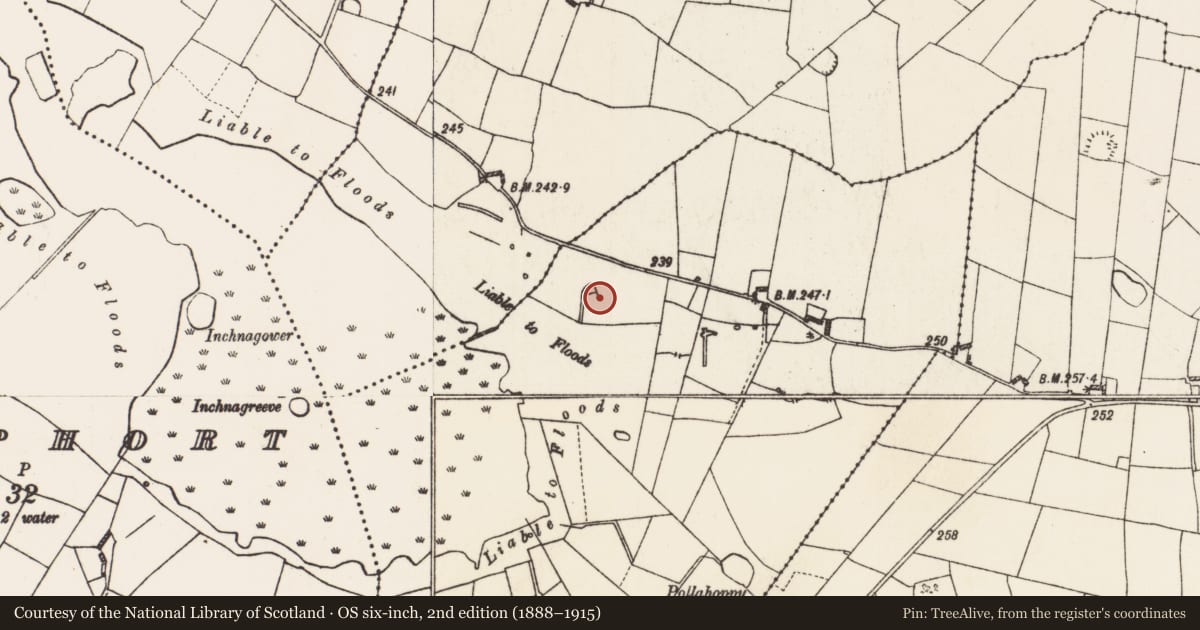 Ordnance Survey six-inch map, 2nd edition (1888–1915) covering the location of Hut site, Cornalee, County Roscommon, with a pin at the register's coordinates