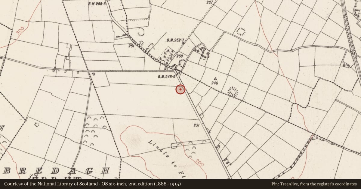 Ordnance Survey six-inch map, 2nd edition (1888–1915) covering the location of Ringfort - rath, Carrownderry, County Roscommon, with a pin at the register's coordinates