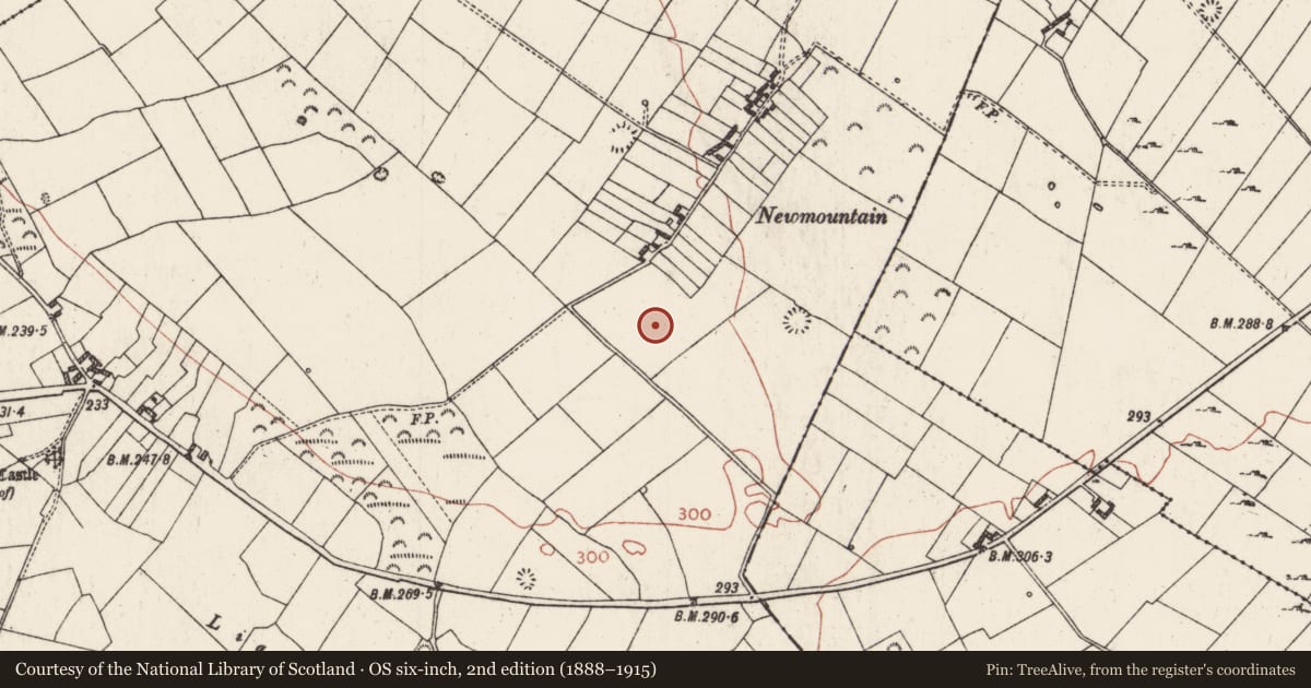 Ordnance Survey six-inch map, 2nd edition (1888–1915) covering the location of Ringfort - rath, Ballagh, County Roscommon, with a pin at the register's coordinates