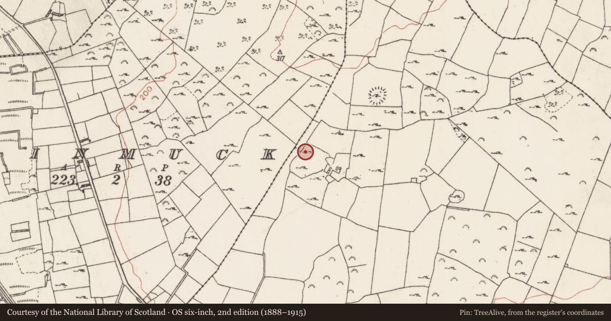 Ordnance Survey six-inch map, 2nd edition (1888–1915) covering the location of Sweathouse, Ballybrogan, County Roscommon, with a pin at the register's coordinates