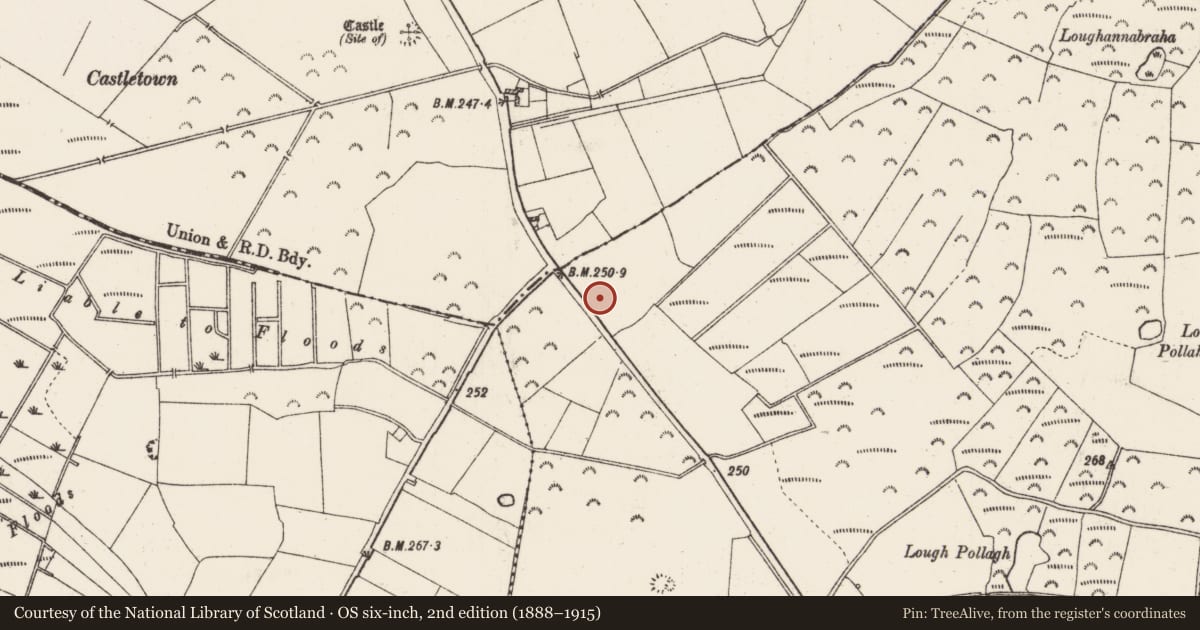 Ordnance Survey six-inch map, 2nd edition (1888–1915) covering the location of Children's burial ground, Lysterfield, County Roscommon, with a pin at the register's coordinates