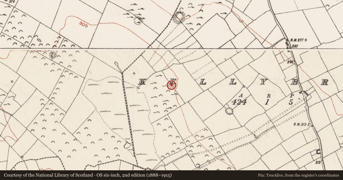 Ordnance Survey six-inch map, 2nd edition (1888–1915) covering the location of Ringfort - cashel, Kellybrook, County Roscommon, with a pin at the register's coordinates