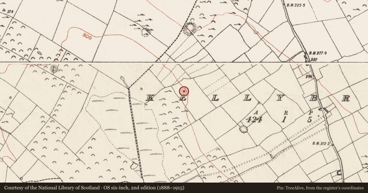 Ordnance Survey six-inch map, 2nd edition (1888–1915) covering the location of Field boundary, Kellybrook, County Roscommon, with a pin at the register's coordinates