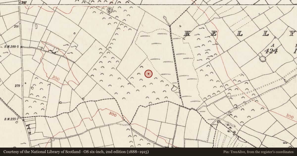 Ordnance Survey six-inch map, 2nd edition (1888–1915) covering the location of Barrow - ring-barrow, Scregg, County Roscommon, with a pin at the register's coordinates
