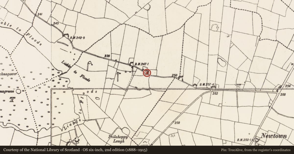 Ordnance Survey six-inch map, 2nd edition (1888–1915) covering the location of Architectural fragment, Cornalee, County Roscommon, with a pin at the register's coordinates