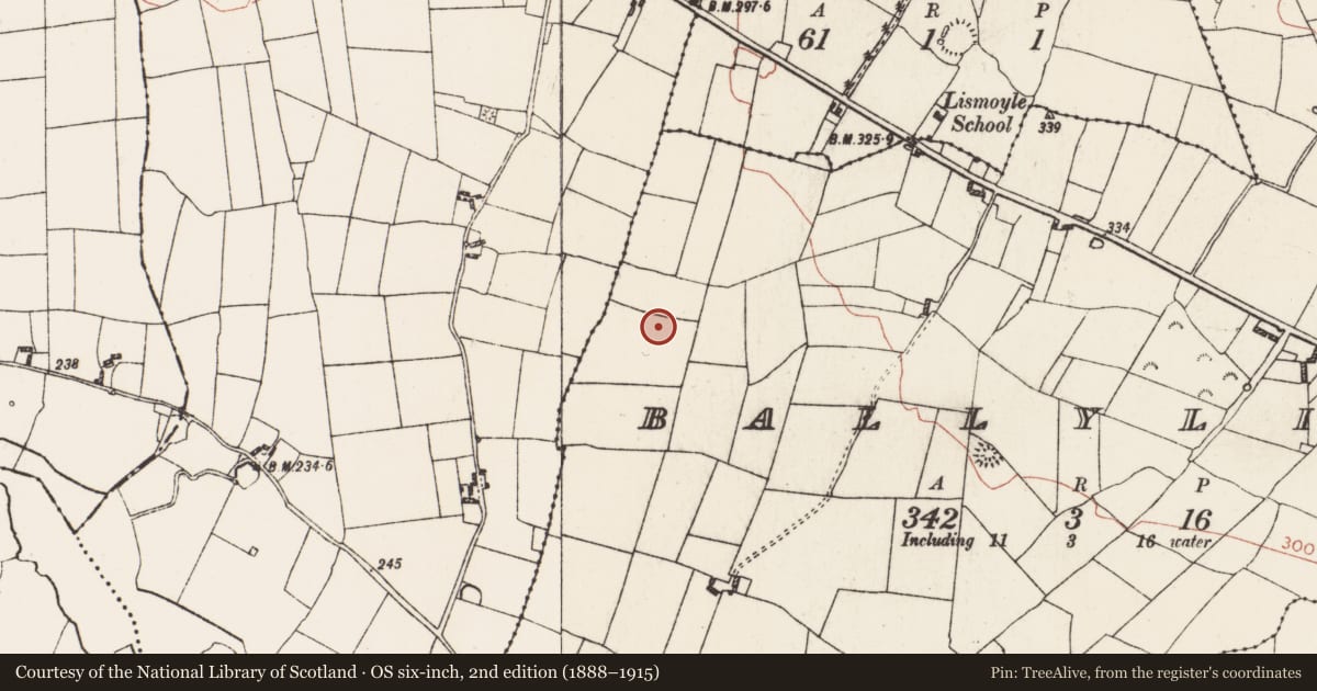 Ordnance Survey six-inch map, 2nd edition (1888–1915) covering the location of Barrow - mound barrow, Ballylion, County Roscommon, with a pin at the register's coordinates