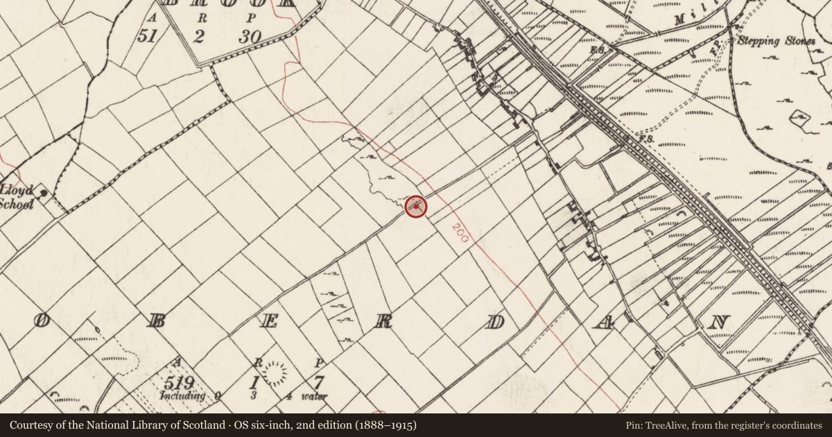 Ordnance Survey six-inch map, 2nd edition (1888–1915) covering the location of Memorial stone, Toberdan, County Roscommon, with a pin at the register's coordinates