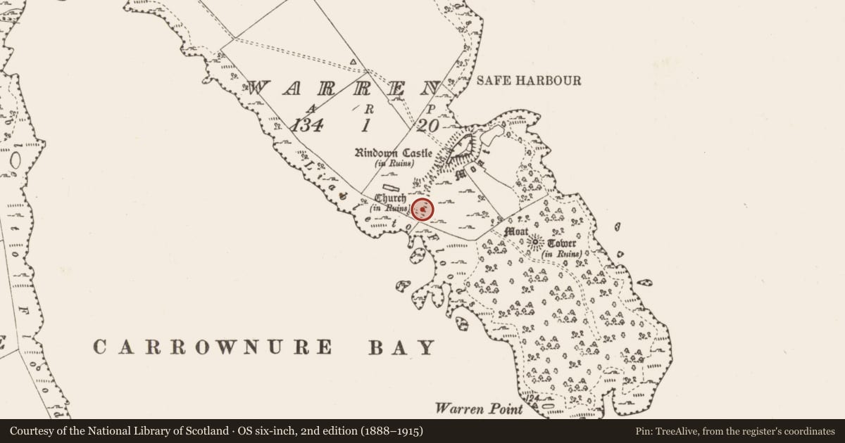 Ordnance Survey six-inch map, 2nd edition (1888–1915) covering the location of Promontory fort - inland, Warren, County Roscommon, with a pin at the register's coordinates
