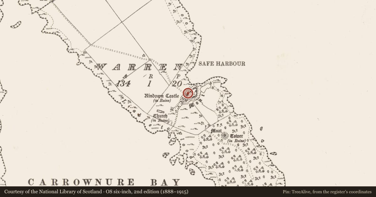 Ordnance Survey six-inch map, 2nd edition (1888–1915) covering the location of Castle - Anglo-Norman masonry castle, Warren, County Roscommon, with a pin at the register's coordinates