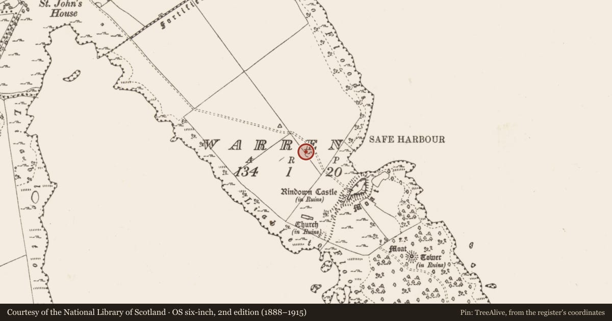 Ordnance Survey six-inch map, 2nd edition (1888–1915) covering the location of House - indeterminate date, Warren, County Roscommon, with a pin at the register's coordinates