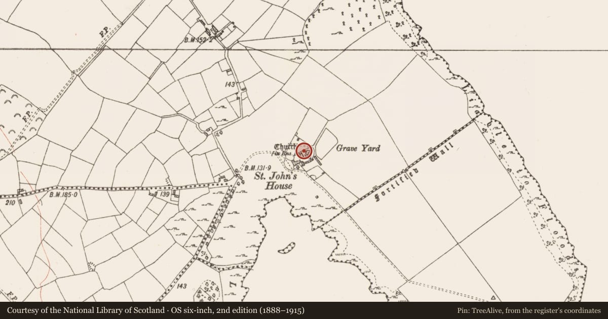 Ordnance Survey six-inch map, 2nd edition (1888–1915) covering the location of Graveyard, Rinnagan, County Roscommon, with a pin at the register's coordinates