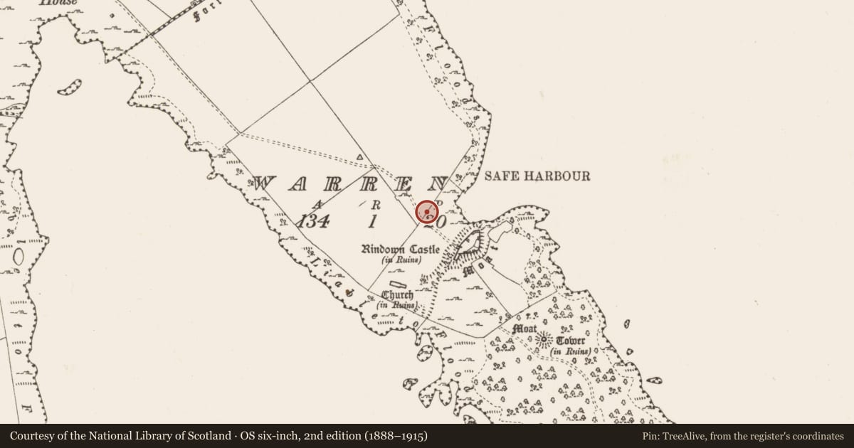 Ordnance Survey six-inch map, 2nd edition (1888–1915) covering the location of Ringfort - rath, Warren, County Roscommon, with a pin at the register's coordinates