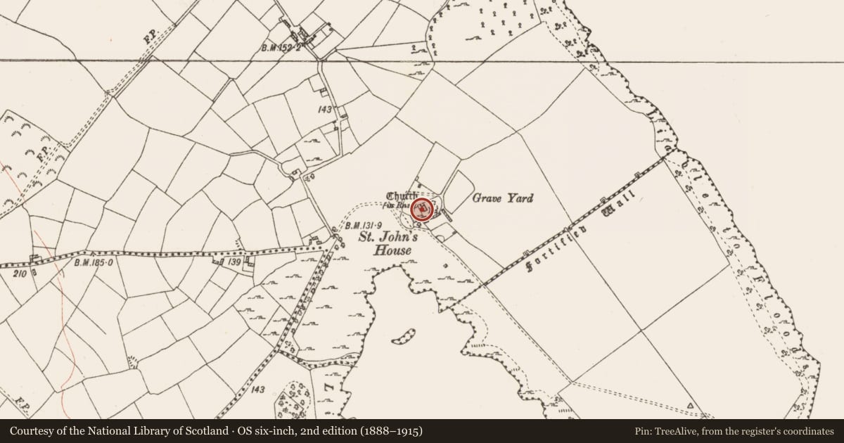 Ordnance Survey six-inch map, 2nd edition (1888–1915) covering the location of Graveslab, Rinnagan, County Roscommon, with a pin at the register's coordinates