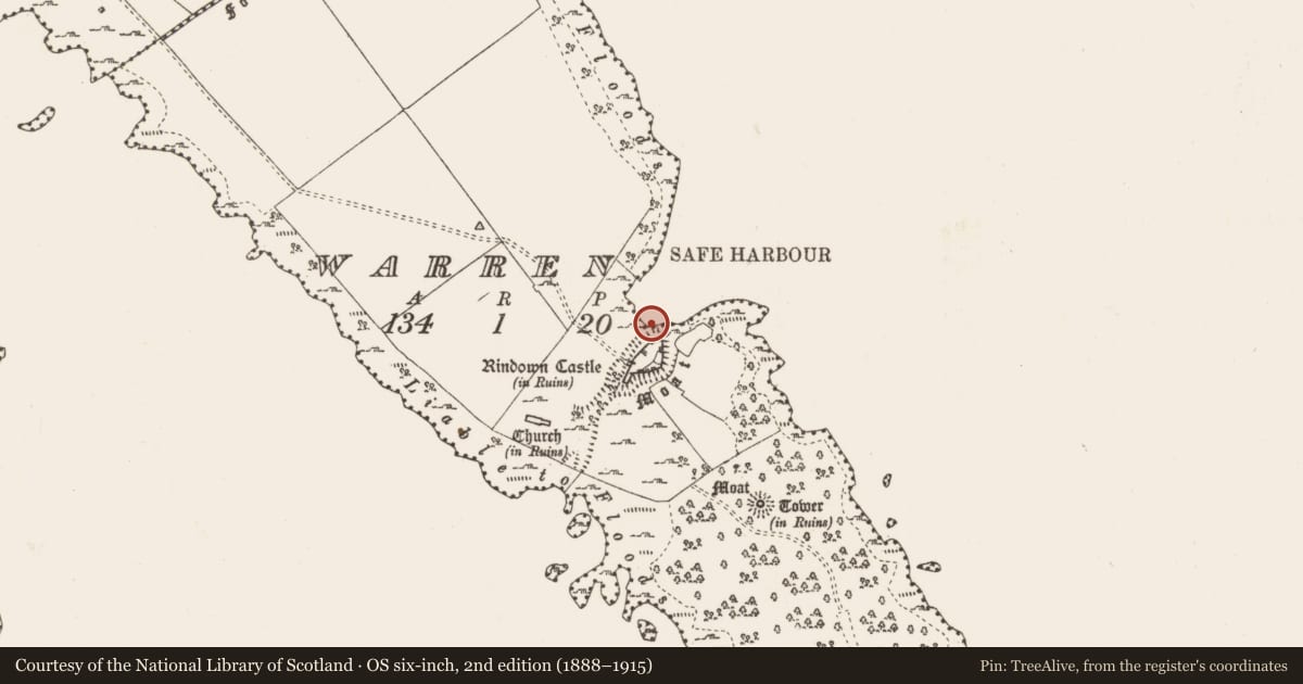 Ordnance Survey six-inch map, 2nd edition (1888–1915) covering the location of Naust, Warren, County Roscommon, with a pin at the register's coordinates