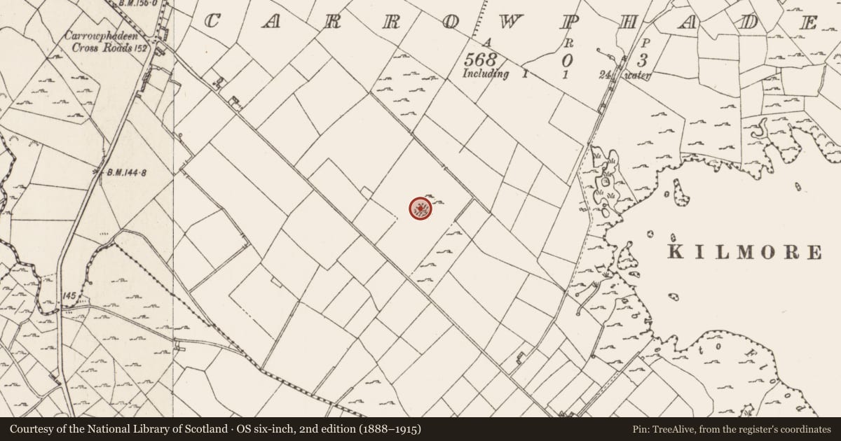 Ordnance Survey six-inch map, 2nd edition (1888–1915) covering the location of Enclosure, Carrowphadeen, County Roscommon, with a pin at the register's coordinates