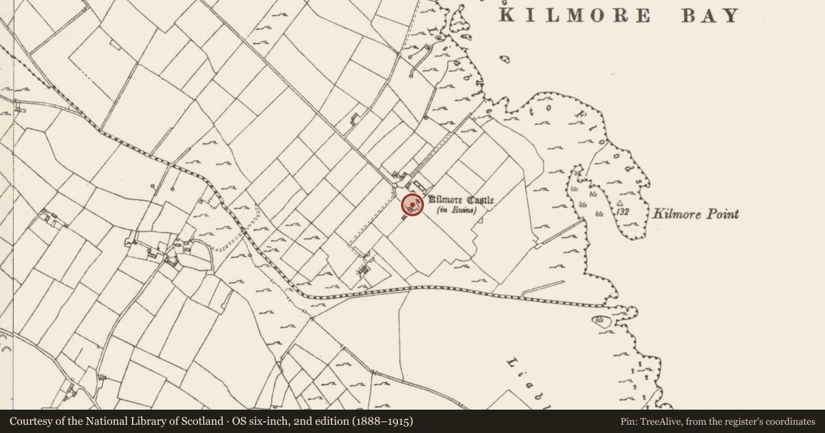 Ordnance Survey six-inch map, 2nd edition (1888–1915) covering the location of House - 16th/17th century, Carrowphadeen, County Roscommon, with a pin at the register's coordinates