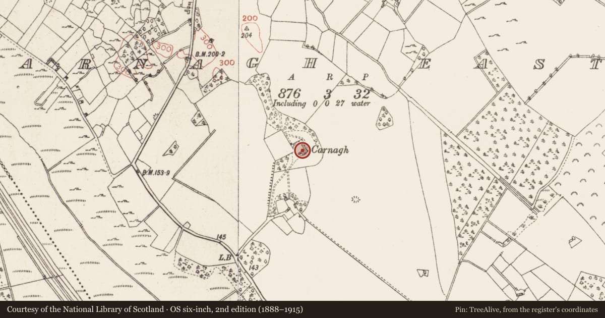 Ordnance Survey six-inch map, 2nd edition (1888–1915) covering the location of House - 18th/19th century, Carnagh East, County Roscommon, with a pin at the register's coordinates