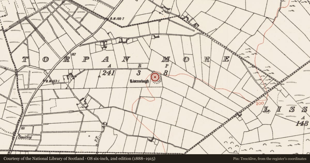 Ordnance Survey six-inch map, 2nd edition (1888–1915) covering the location of Ringfort - rath, Torpan More, County Roscommon, with a pin at the register's coordinates
