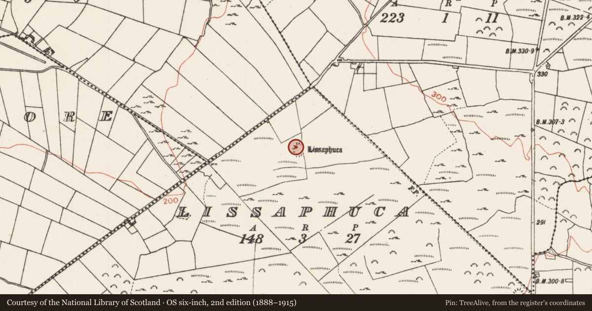 Ordnance Survey six-inch map, 2nd edition (1888–1915) covering the location of Ringfort - rath, Lissaphuca, County Roscommon, with a pin at the register's coordinates