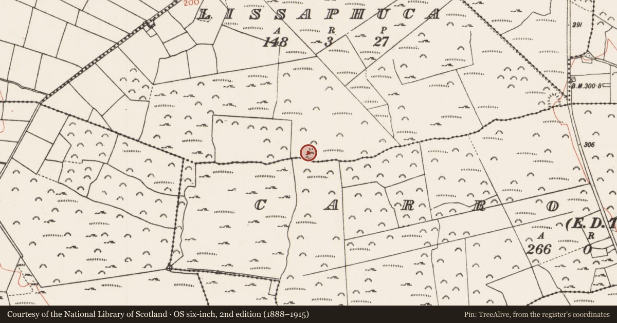 Ordnance Survey six-inch map, 2nd edition (1888–1915) covering the location of Ringfort - rath, Lissaphuca, County Roscommon, with a pin at the register's coordinates