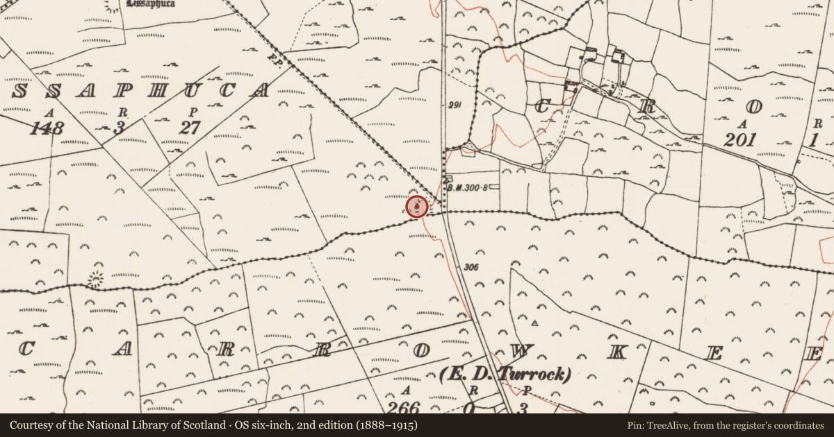 Ordnance Survey six-inch map, 2nd edition (1888–1915) covering the location of Ringfort - rath, Lissaphuca, County Roscommon, with a pin at the register's coordinates