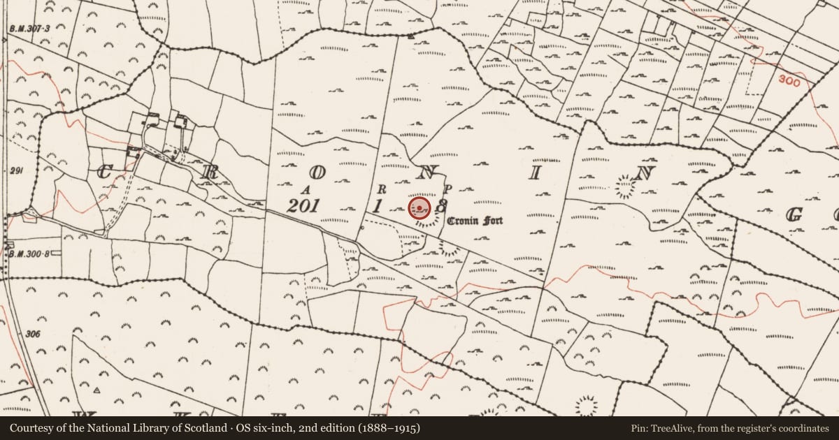 Ordnance Survey six-inch map, 2nd edition (1888–1915) covering the location of Ringfort - rath, Cronin, County Roscommon, with a pin at the register's coordinates