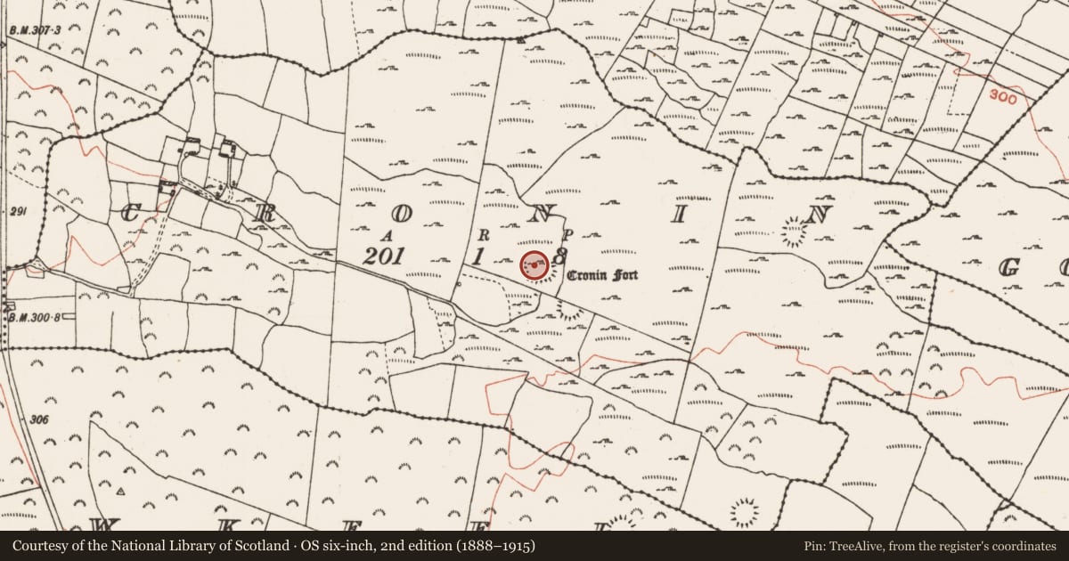 Ordnance Survey six-inch map, 2nd edition (1888–1915) covering the location of Field boundary, Cronin, County Roscommon, with a pin at the register's coordinates