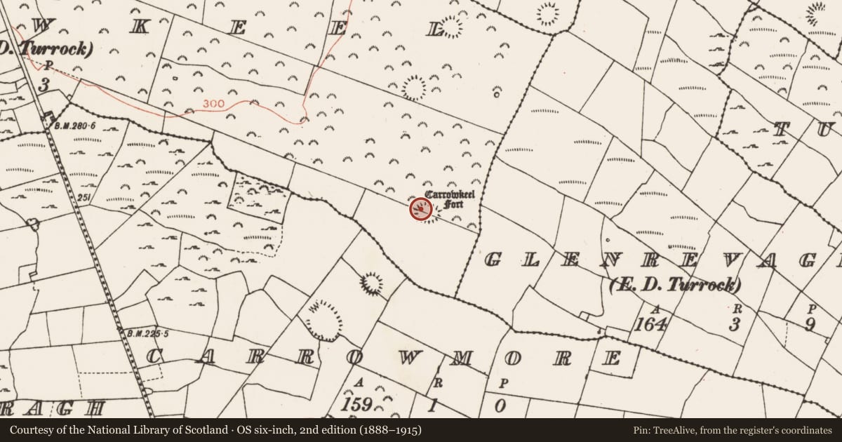 Ordnance Survey six-inch map, 2nd edition (1888–1915) covering the location of Ringfort - rath, Carrowkeel, County Roscommon, with a pin at the register's coordinates
