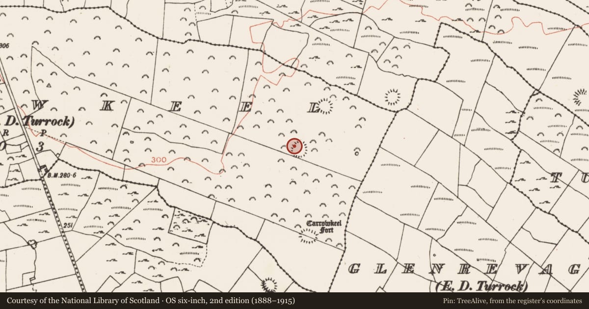 Ordnance Survey six-inch map, 2nd edition (1888–1915) covering the location of Ringfort - rath, Carrowkeel, County Roscommon, with a pin at the register's coordinates