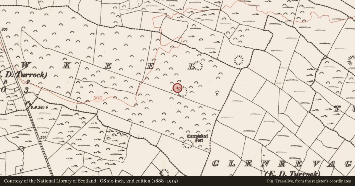 Ordnance Survey six-inch map, 2nd edition (1888–1915) covering the location of Cairn - clearance cairn, Carrowkeel, County Roscommon, with a pin at the register's coordinates
