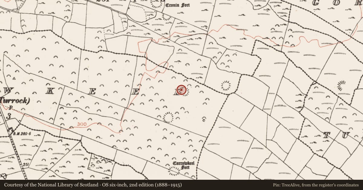 Ordnance Survey six-inch map, 2nd edition (1888–1915) covering the location of Ringfort - rath, Carrowkeel, County Roscommon, with a pin at the register's coordinates