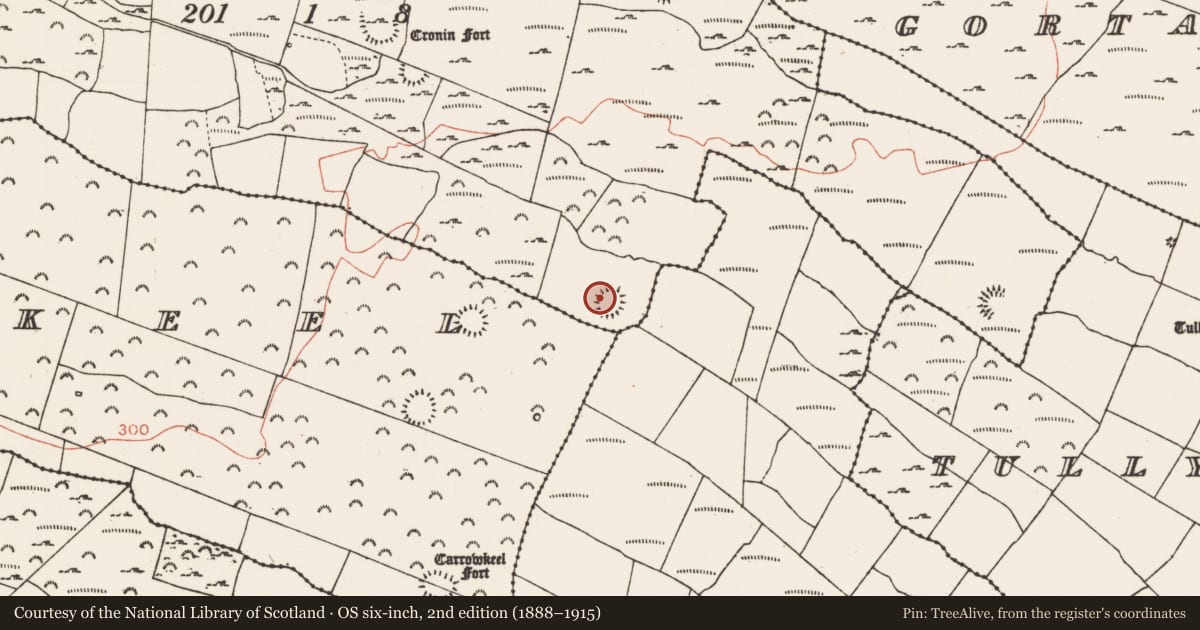 Ordnance Survey six-inch map, 2nd edition (1888–1915) covering the location of Ringfort - rath, Cronin, County Roscommon, with a pin at the register's coordinates