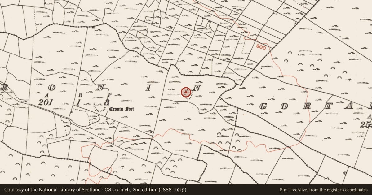 Ordnance Survey six-inch map, 2nd edition (1888–1915) covering the location of Ringfort - cashel, Cronin, County Roscommon, with a pin at the register's coordinates