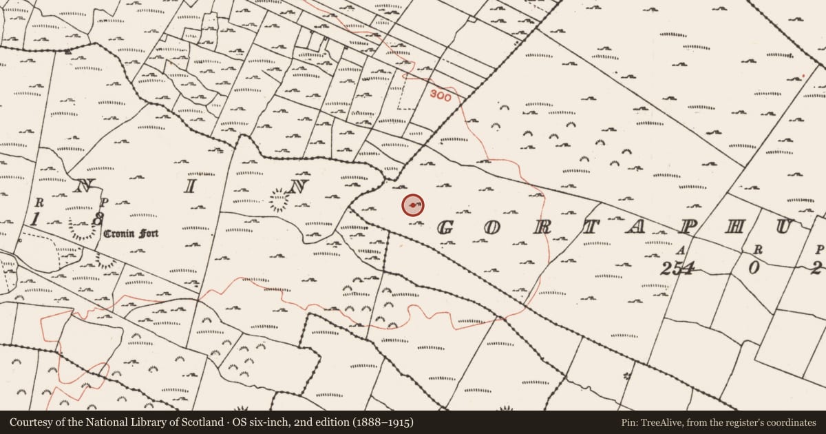 Ordnance Survey six-inch map, 2nd edition (1888–1915) covering the location of Ringfort - rath, Gortaphuill, County Roscommon, with a pin at the register's coordinates