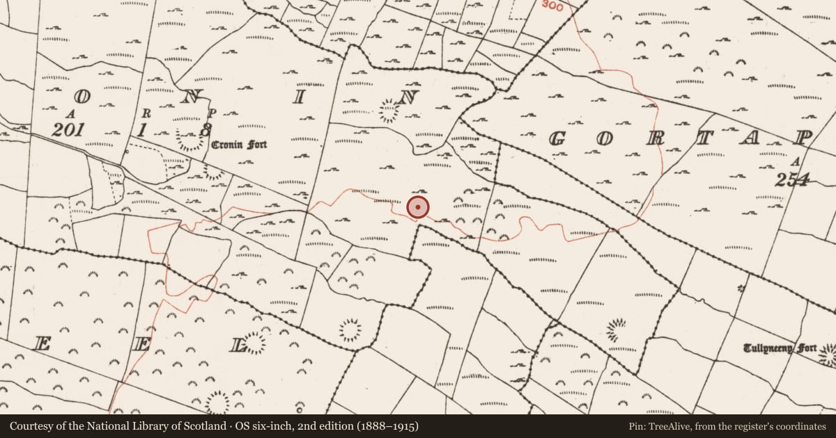 Ordnance Survey six-inch map, 2nd edition (1888–1915) covering the location of Ringfort - cashel, Cronin, County Roscommon, with a pin at the register's coordinates
