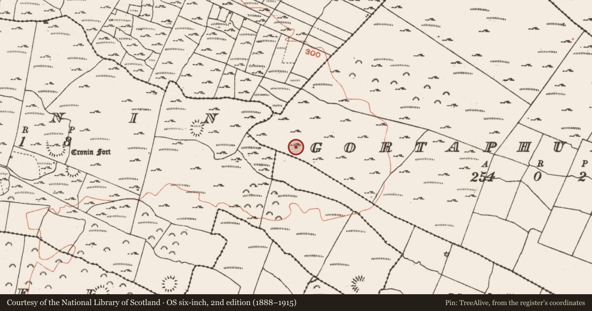 Ordnance Survey six-inch map, 2nd edition (1888–1915) covering the location of Road - road/trackway, Gortaphuill, County Roscommon, with a pin at the register's coordinates