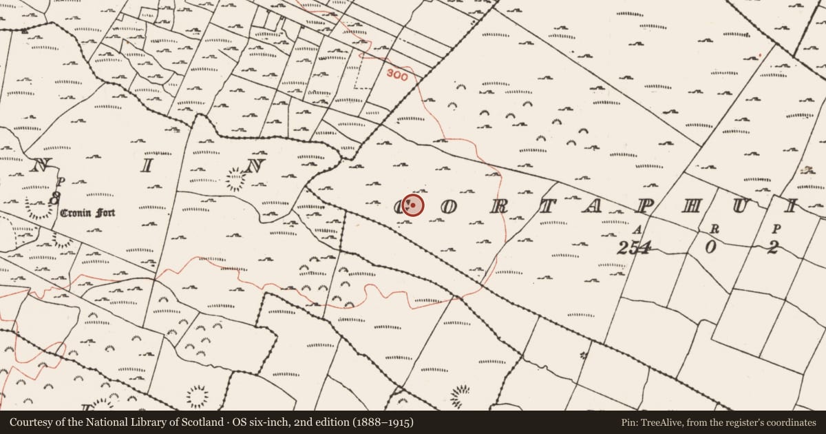 Ordnance Survey six-inch map, 2nd edition (1888–1915) covering the location of House - indeterminate date, Gortaphuill, County Roscommon, with a pin at the register's coordinates
