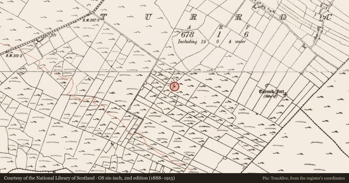 Ordnance Survey six-inch map, 2nd edition (1888–1915) covering the location of Ringfort - cashel, Turrock, County Roscommon, with a pin at the register's coordinates