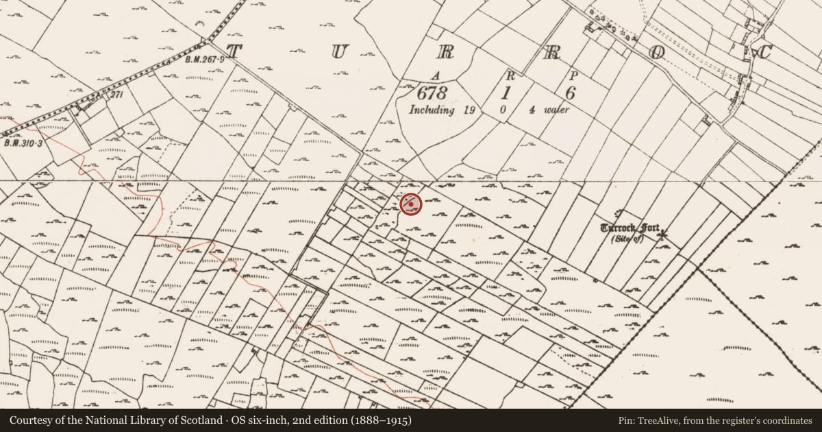 Ordnance Survey six-inch map, 2nd edition (1888–1915) covering the location of Enclosure, Turrock, County Roscommon, with a pin at the register's coordinates