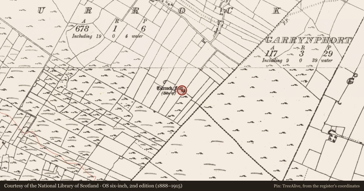 Ordnance Survey six-inch map, 2nd edition (1888–1915) covering the location of Ringfort - rath, Turrock, County Roscommon, with a pin at the register's coordinates