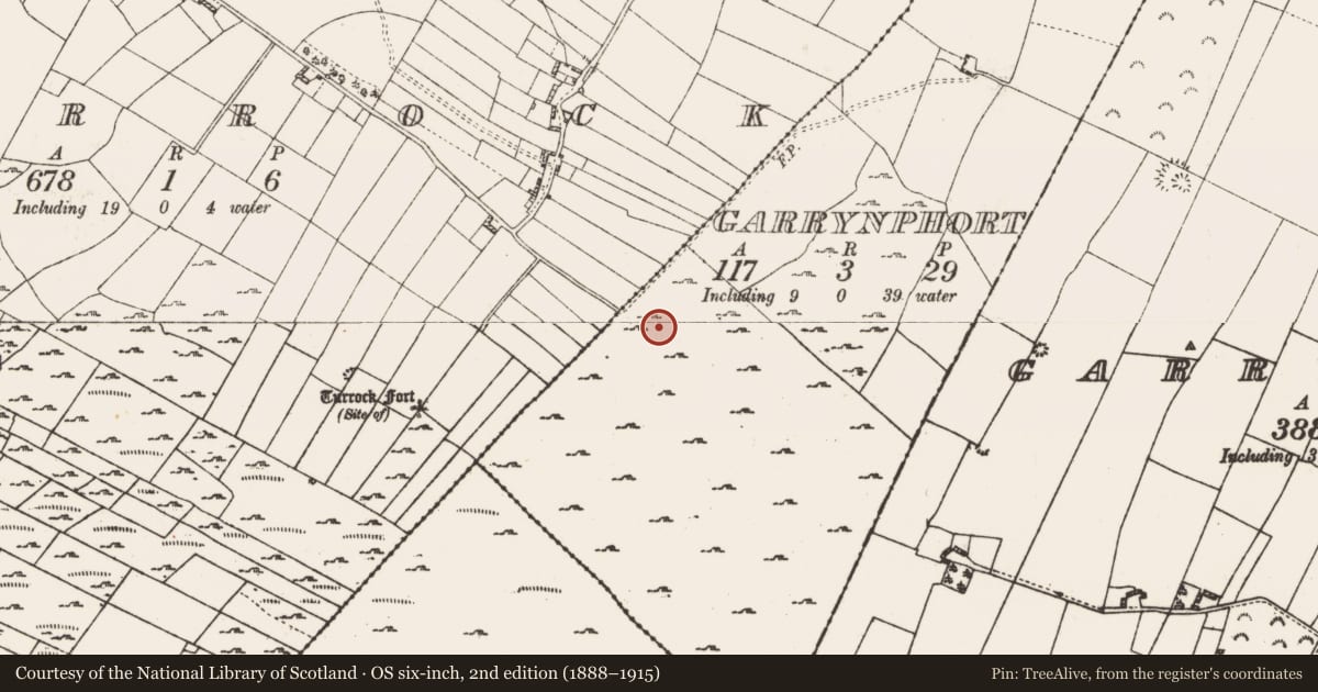 Ordnance Survey six-inch map, 2nd edition (1888–1915) covering the location of Ringfort - rath, Garrynphort, County Roscommon, with a pin at the register's coordinates