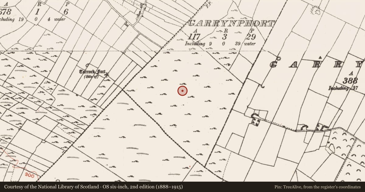Ordnance Survey six-inch map, 2nd edition (1888–1915) covering the location of Field system, Garrynphort, Gortaphuill, County Roscommon, with a pin at the register's coordinates